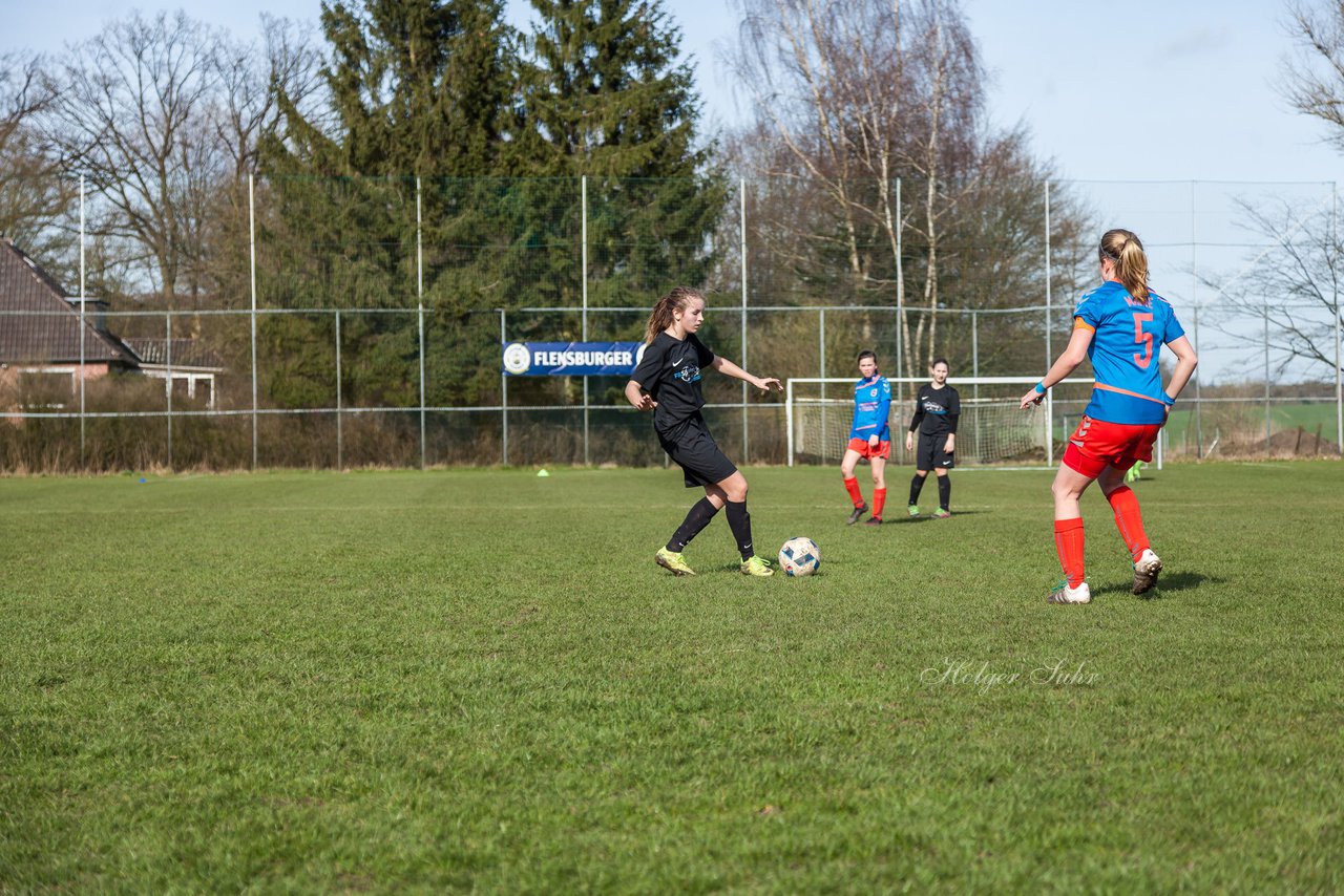 Bild 264 - C-Juniorinnen SV Steinhorst/Labenz - TSV Friedrichsberg-Busdorf : Ergebnis: 5:0